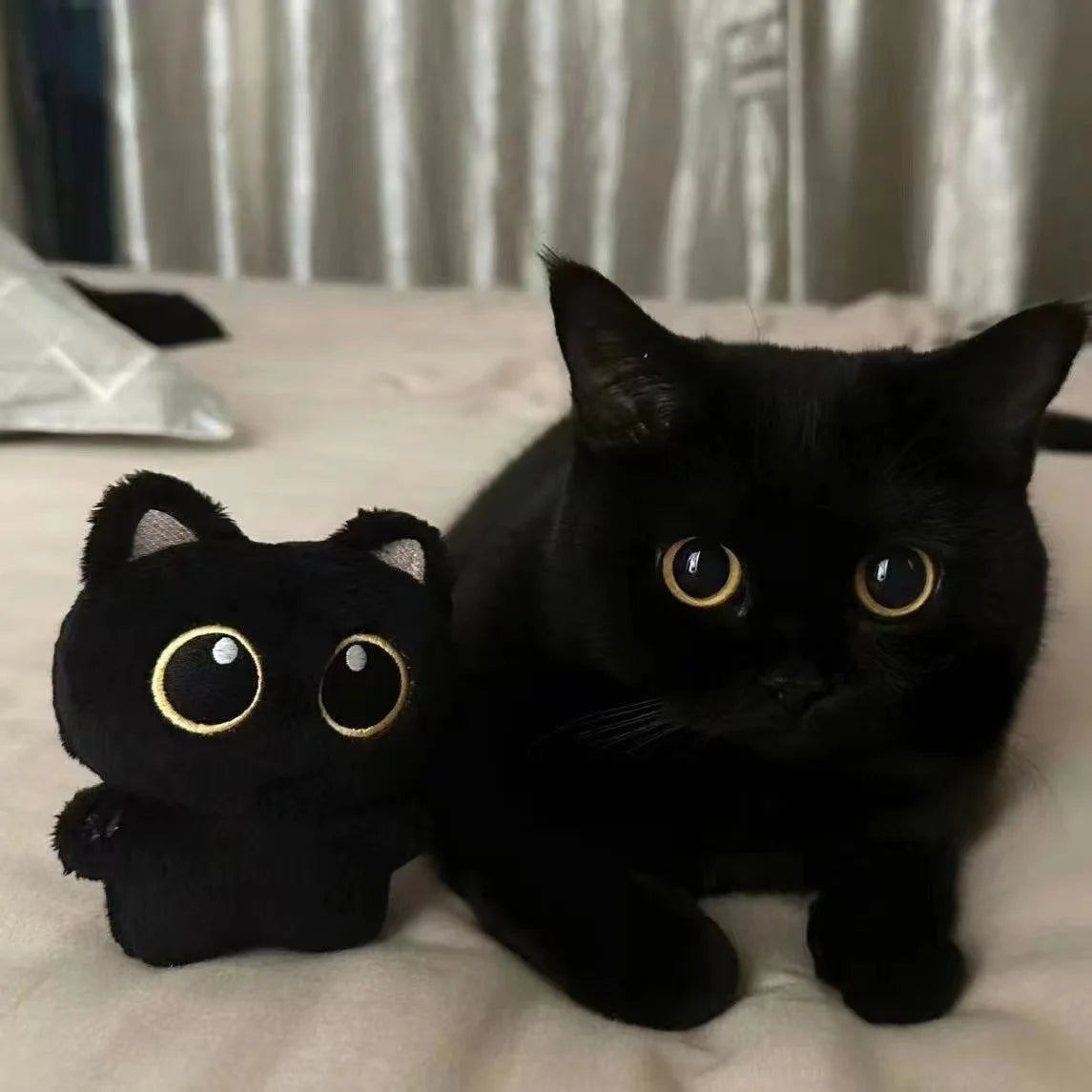 Cat Plush